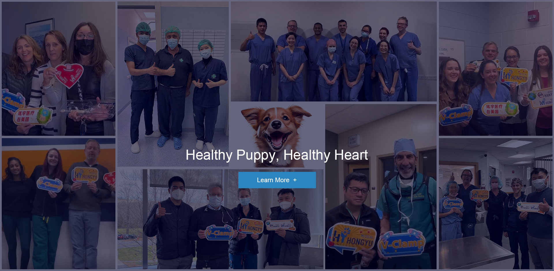 Healthy Puppy, Healthy Heart